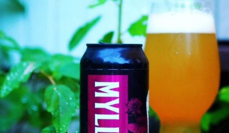 Panimokierros kahdelle -10%