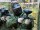 Paintball tapahtuma (6:lle) | Marttila