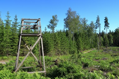 Elämyspäivä kymmenelle | Nurmijärvi