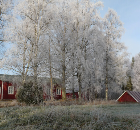 Mindfulness-kurssi | Seinäjoki