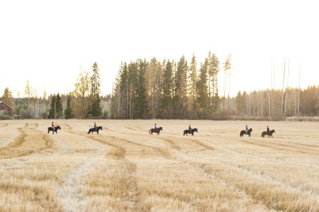 Laavuvaellus | Järvenpää