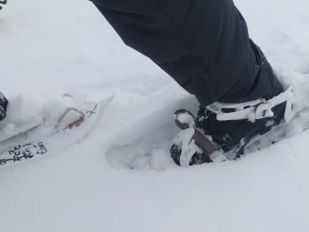 Lumikenkäilyretki Oulun Pilpasuolla