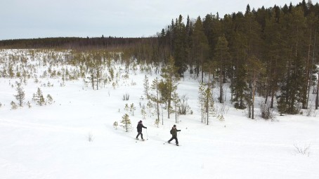 Lumikenkäilyretki neljälle Oulun Pilpasuolla