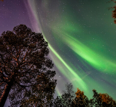 Revontulikierros kahdelle | Rovaniemi