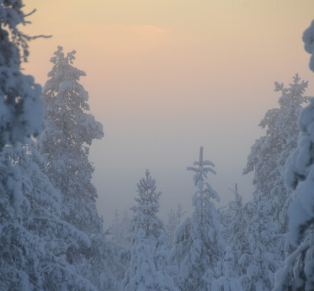 Lumikenkäretki Luoston ametistikaivokselle kahdelle | Rovaniemi