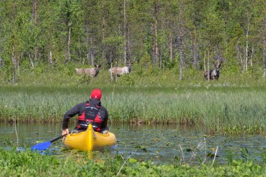 Koko päivän kanoottiretki Rovaniemellä