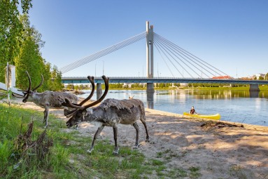 Kulttuurillinen kanoottiretki Rovaniemellä kahdelle