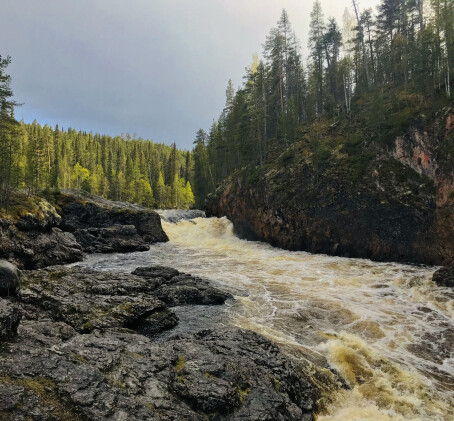 Kesäinen selviytymisretki Lapissa kahdelle | Rovaniemi