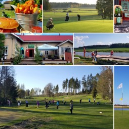 Golfin alkeiskurssi Ypäjällä