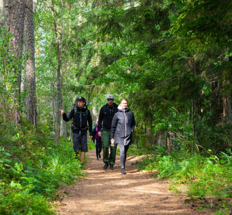 Virkistävä päiväretki Sipoonkorven kansallispuistoon ja Vanhaan Porvooseen kahdelle | Porvoo
