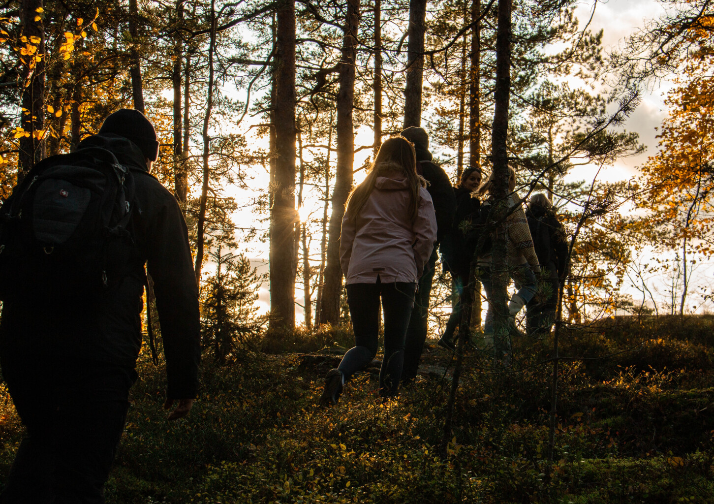 Rentouttava metsäkylpy ryhmille 2-5:lle | Helsinki