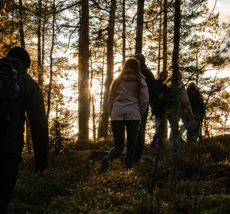 Rentouttava metsäkylpy ryhmille 2-5:lle | Helsinki
