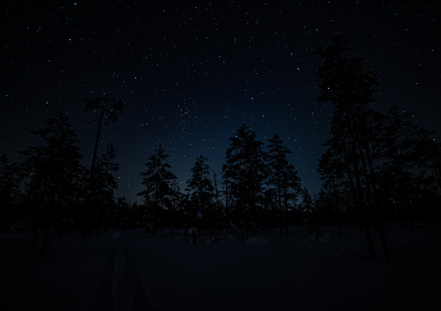 Tähtivalokuvausta Valkmusan kansallispuistossa kolmelle