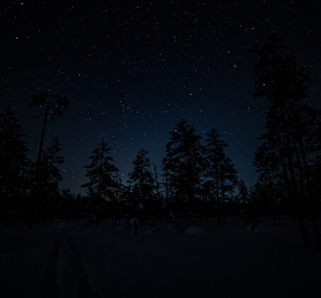 Tähtivalokuvausta Valkmusan kansallispuistossa kahdeksalle