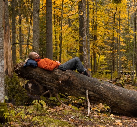 Ohjattu Mindfulness-retki metsään 1-7:lle | Pääkaupunkiseutu