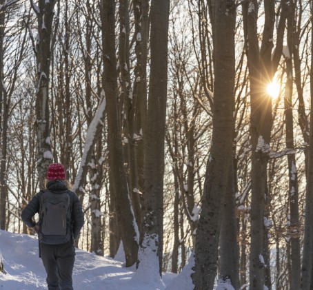 Ohjattu Mindfulness-retki metsään ja nokipannukahvit 9:lle | Pääkaupunkiseutu