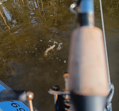 Avoin lahjakortti 50 € - Chill Out Fishing | Kemiönsaari | Sauvo | Salo | Parainen