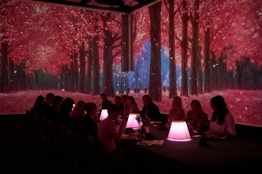 The Essence Of Taste – Immersiivinen illallinen | Turku