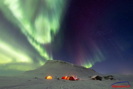 Lumikenkäretki yötaivaan alla | Kilpisjärvi