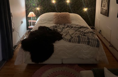 Majoitus eläinten ympäröimänä 2 yöksi kolmelle | Kokkola