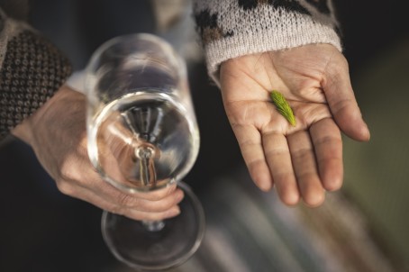 Wine in the Woods kahdelle | Espoo